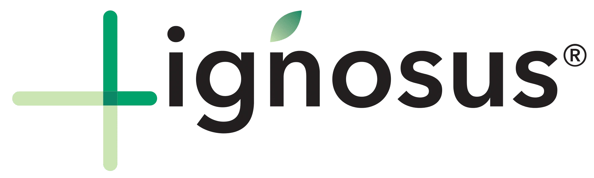 Lignosus Review