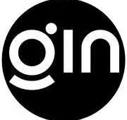 GIN Electric Bikes Review