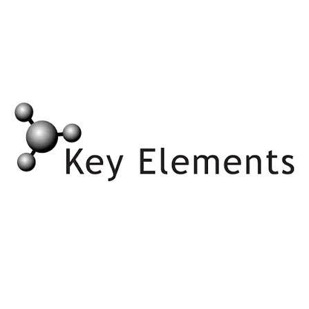 KEY ELEMENTS Logo