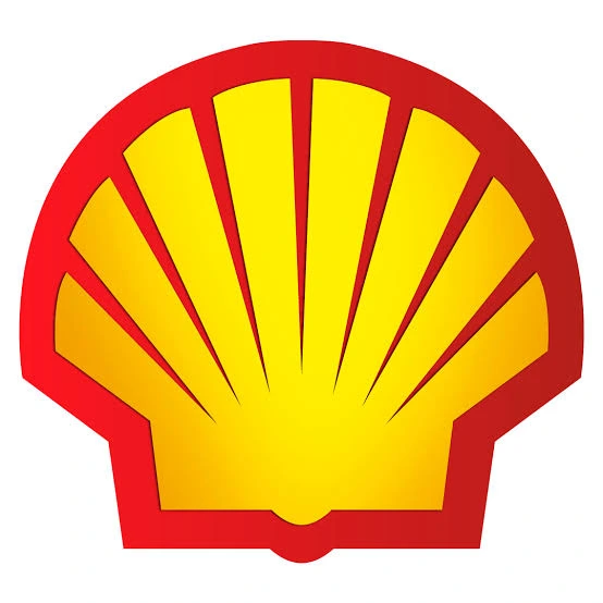 Salt and Shell Logo