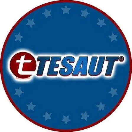 Tesaut Models Review