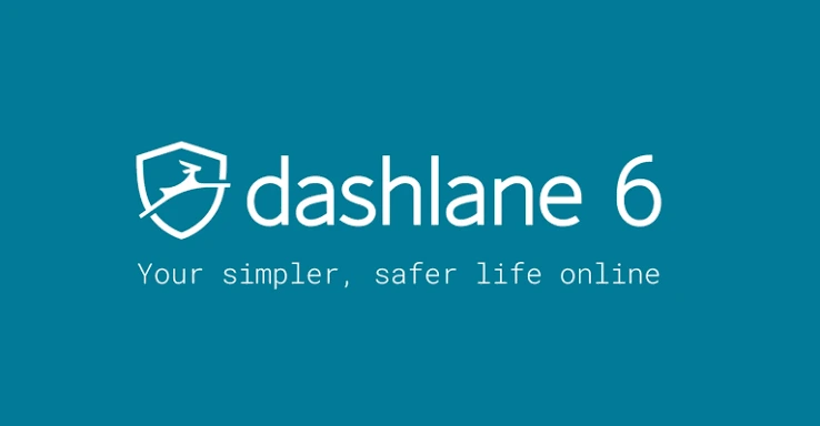 Dashline Cameras Review
